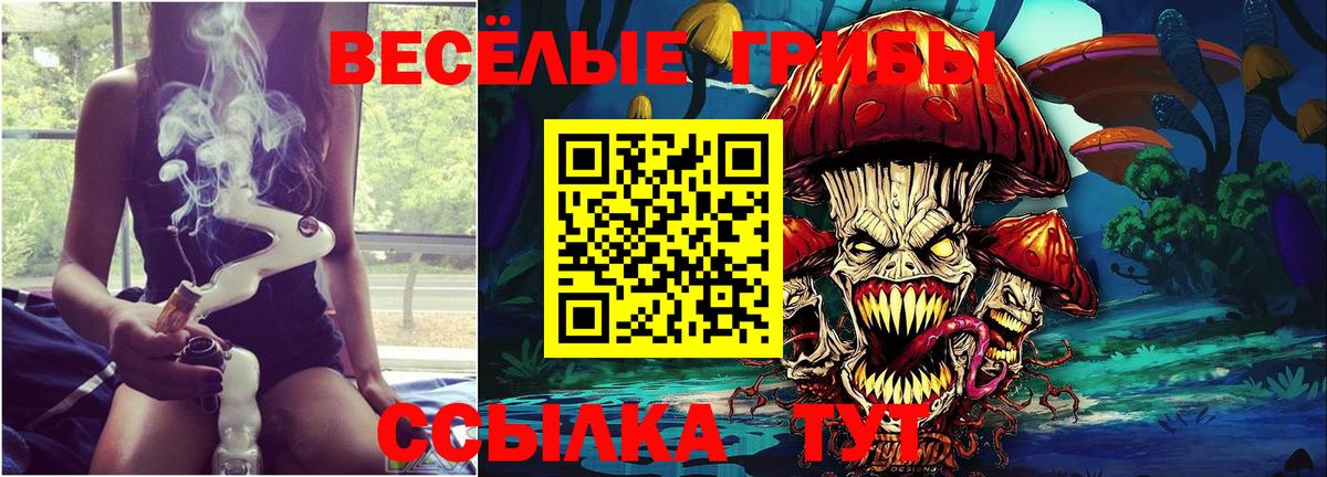 Галлюциногенные грибы мицелий Армавир